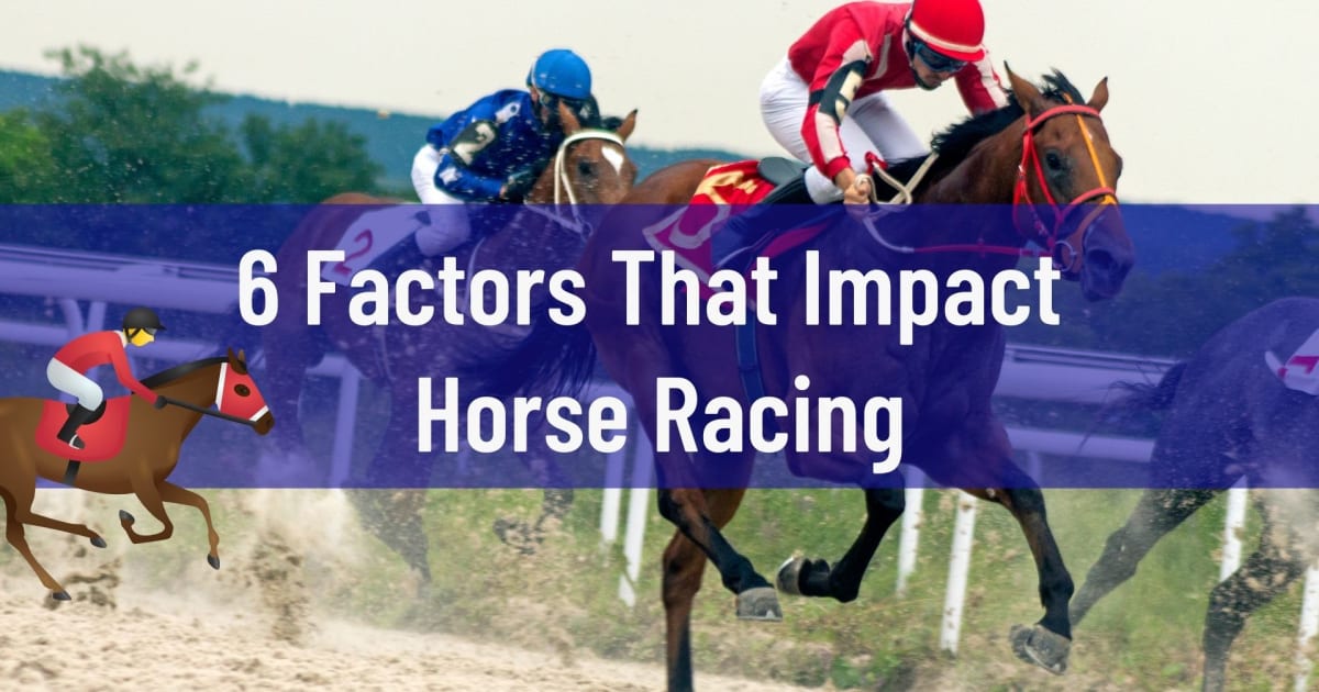 6 factoren die van invloed zijn op paardenraces