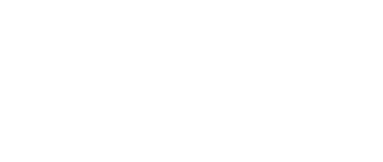 Wedden op de Premier League Online